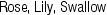 KRK