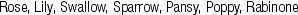 KRK