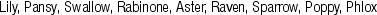 KRK