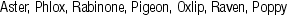 KRK