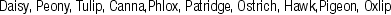 KRK