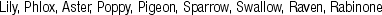KRK