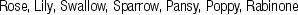 KRK