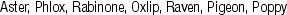 KRK