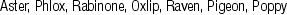 KRK