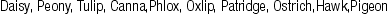 KRK