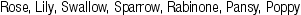 KRK